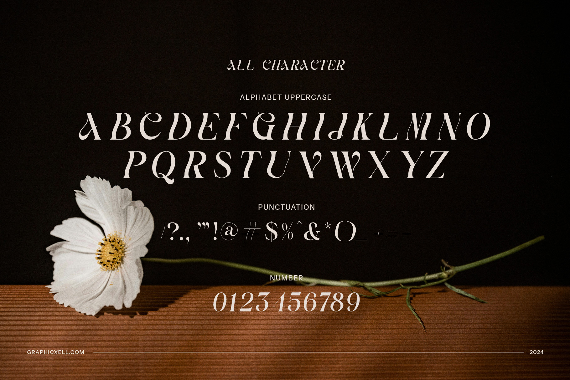Avonte Elegant Serif Font - By Graphicxell